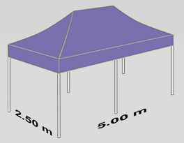 2500x5000mm tent 0